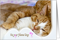 Name Day for Daughter-pair of tabby cats snuggling card