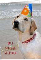 Step Dad’s Birthday-Labrador Retriever with a party hat on a beach card