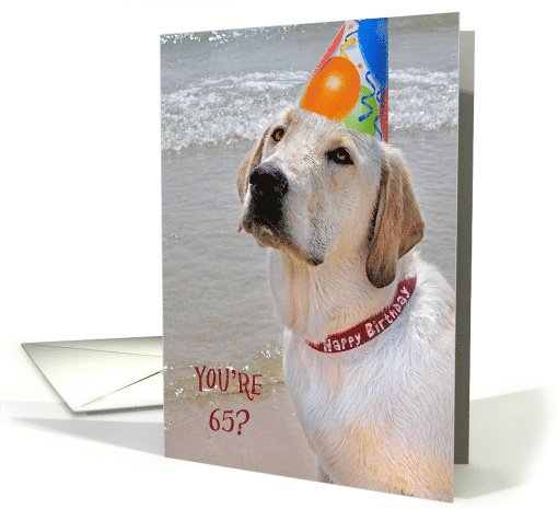 65th Birthday, Labrador Retriever with a party hat on a beach card