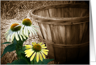 cone flowers and old bushel basket with vignetting card
