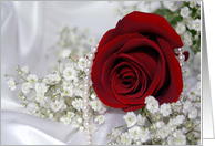 Wedding red rose with pearls on white satin. card