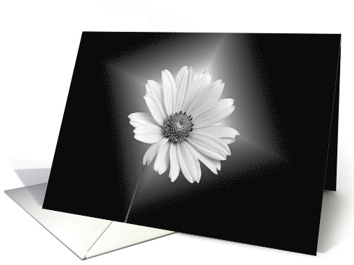 Hello or Hi glowing daisy in black and white card (244431)