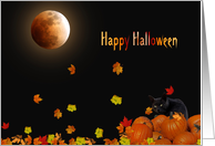 Halloween Black Cat In Pumpkins And Leaves With Full Moon card