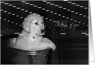 Thinking of you golden retriever in old washtub card