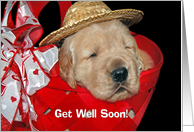 Get Well Soon golden retriever with hat in red basket card