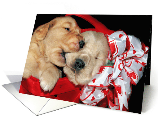 Birthday golden retriever pups in red basket card (372829)