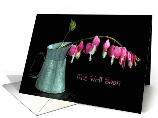 Get Well Soon pink bleeding hearts in old metal pitcher on black card