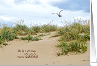 Inspiration quote, beach grass on sand dune with seagull card