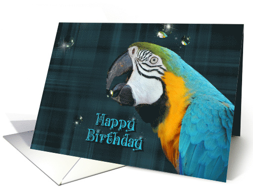 birthday Macaw parrot with bubbles on plaid background card (433445)