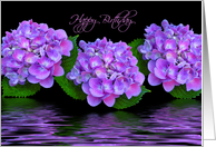 Happy Birthday hydrangeas with water reflection card