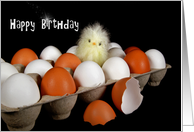 Birthday from first born, baby chick in carton of eggs card