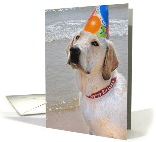 Birthday Labrador Retriever with a party hat on a beach card (518499)