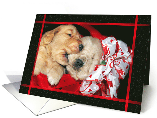 Valentine's Day golden retriever puppies in basket with bow card