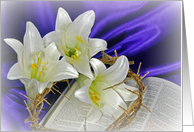 Easter lilies with crown of thorns on open Holy Bible card