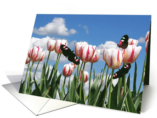 Birthday butterflies in tulip garden card (645844)