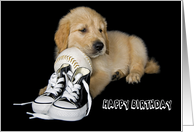 sports birthday Golden Retriever puppy with sneakers and baseball card