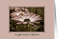 step mom’s birthday-daisy in a frame card