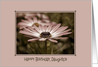 Daughter’s Birthday-close up of a daisy in frame card