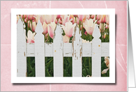 Thank You For Friend, Pink Tulips In Garden With Picket Fence card