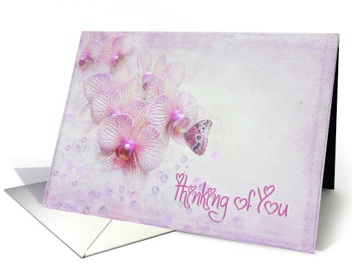 Thinking of You butterfly on pink orchid flower with bubbles card