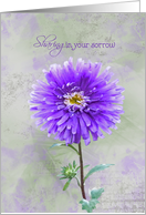 sympathy purple dahlia with watercolor effect card
