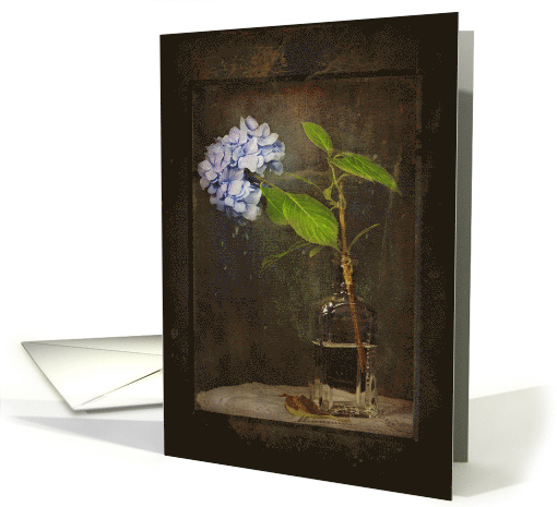 thinking of you, hydrangea in a vintage bottle with grungy... (787746)