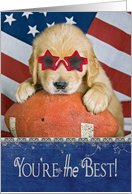 Golden Retriever pup with star sunglasses on football for son card