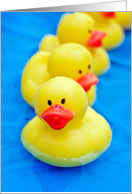pool party invitation with yellow rubber ducks in swimming pool card