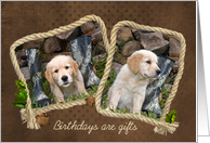 Birthday-Golden Retriever puppies with hunting boots in a rope frame card