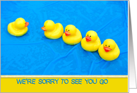 Goodbye from group, yellow rubber ducks in pool card