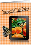 57th birthday, butterfly, pansy, flower card