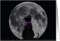 cat, moon, Miss You, silhouette, friend card