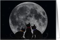 cat, moon, Miss You, silhouette, friendship card