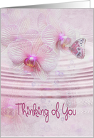 Butterfly on orchids for Thinking of You card