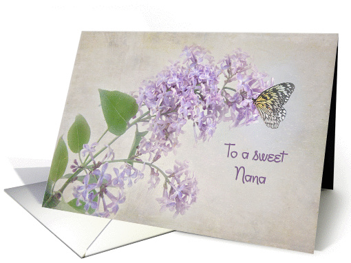 butterfly on lilacs for Nana's birthday card (926059)