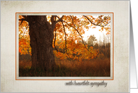 sympathy with autumn oak tree for loss of father card