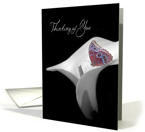 Thinking of You with butterfly on calla lily card (977537)