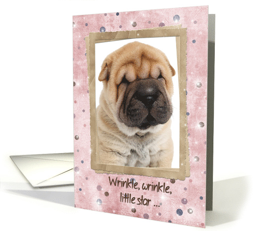 Chinese Shar pei puppy for humorous birthday card (994543)