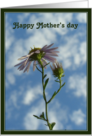 Happy Mother’s day card