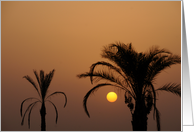 Sunset under palm trees card