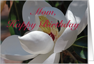 Magnolia Birthday card