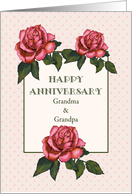 Happy Anniversary Grandma & Grandpa: Pink Roses: Color Pencil Art card