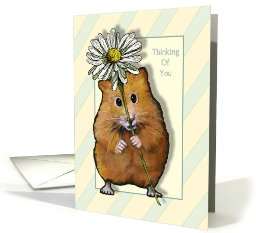 Thinking of You, Cute Hamster with Big Daisy, Stripes card (1303394)