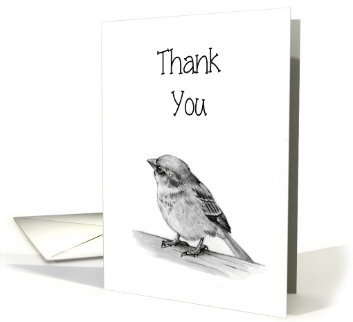 General Thank You, Small Bird in Pencil, Elegant, Simple,... (1557370)