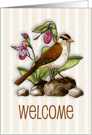 Welcome to our Neighborhood, Sparrow with Ladyslipper Flowers, Bird card