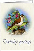 Birthday Greetings, General Happy Birthday, Sparrow and Ladyslippers card