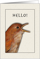 Hello Across the Miles, Bird with Wide Open Beak, Saying Hi card