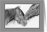 Horses Nuzzling Pencil Drawing Bank Inside Any Occasion, Animals card