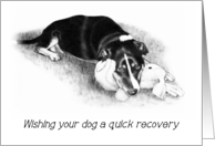 Get Well To Your Dog, Pencil Drawing of Dog With Stuffed Toy card
