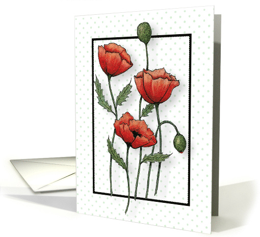 Blank Inside All Occasion with Drawing of Red Poppy... (1655696)